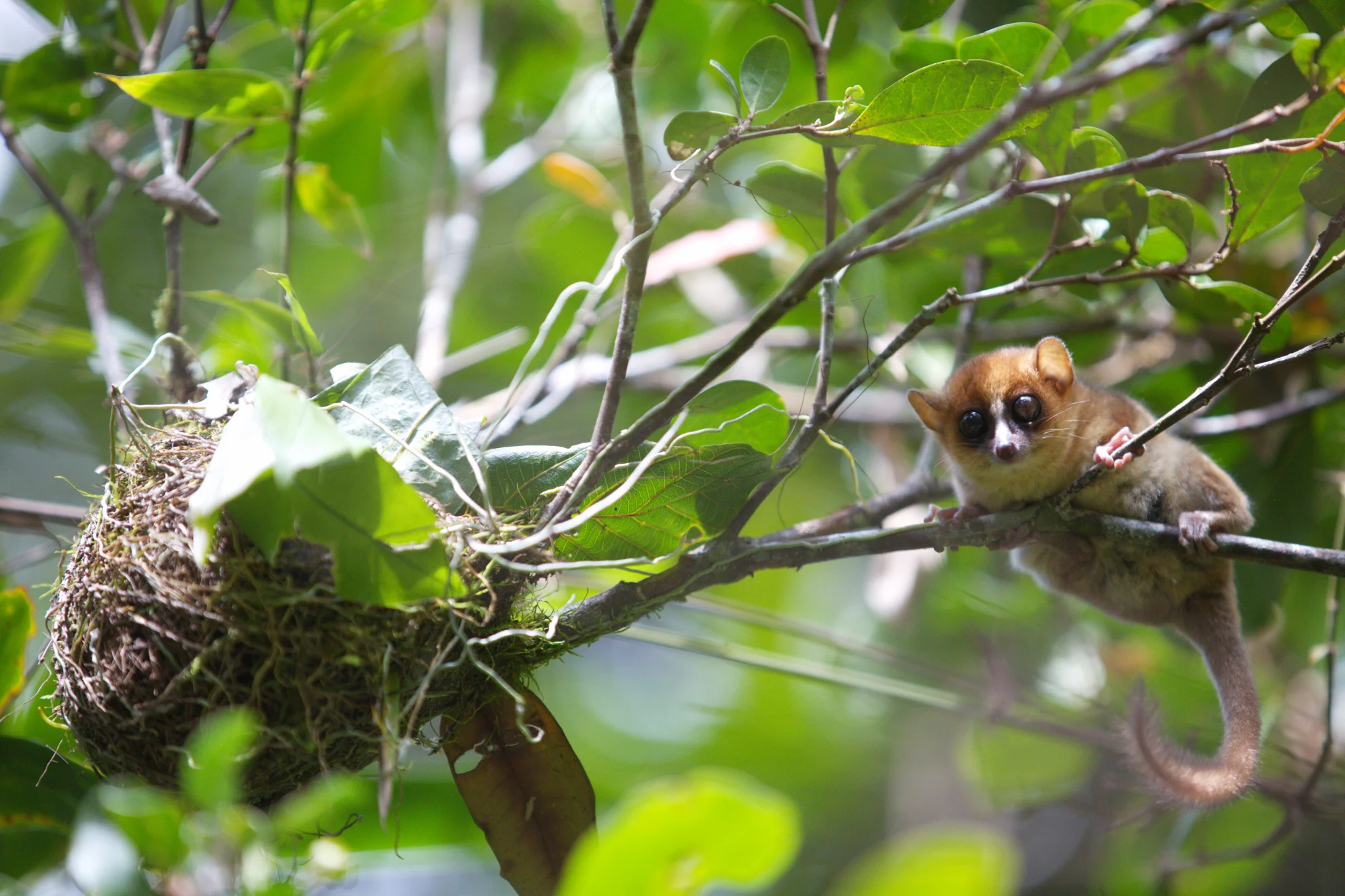 Ecovision slide (10)